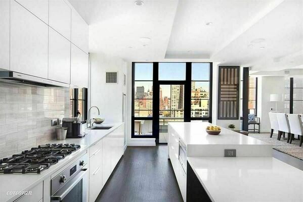 234 East 23 #SKY-DUPLEX