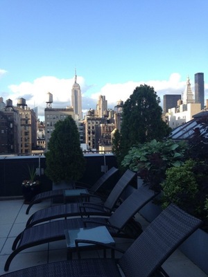 50 West 15 #PHAB