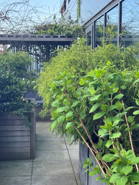 123 Third Ave #PH15A