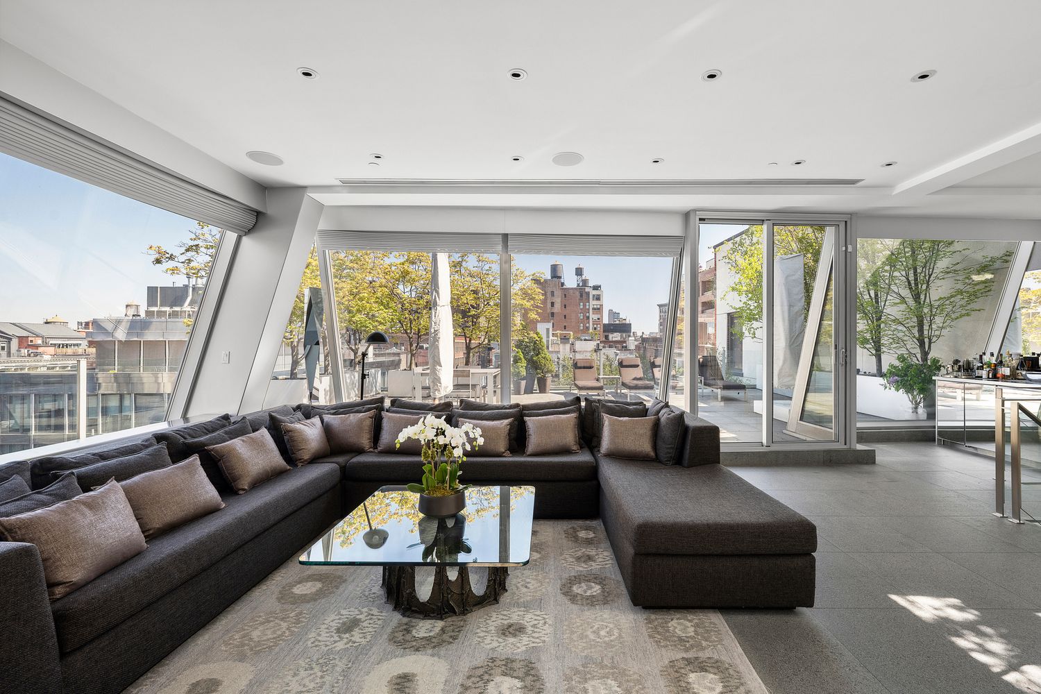 425 Broome St #PHN